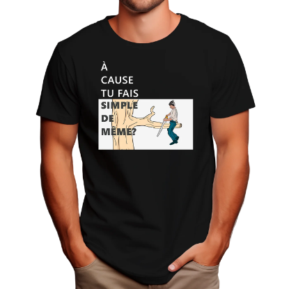 Image de À cause tu fais simple de même?