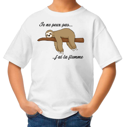 Image de Je ne peux pas, j'ai la flemme