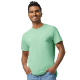 Menthe verte