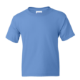 Bleu Caroline